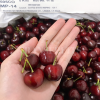 Cherry Mỹ Size 10